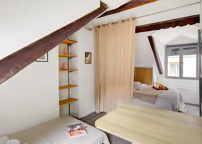 Serenty - Place Des Vosges & Le Marais *